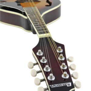 Mandolin / Ukulele